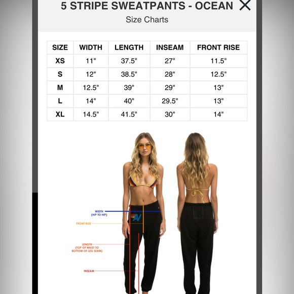 Aviator Nation Double-sided Velvet 5 Stripe Sweatpants - Ocean Blue - Picture 14 of 14